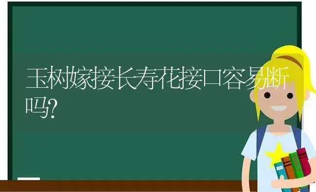 玉树嫁接长寿花接口容易断吗？ | 多肉养殖