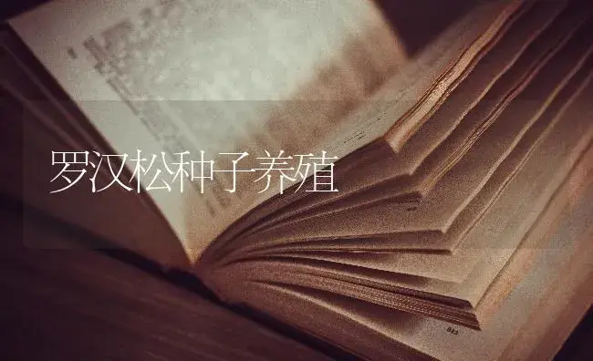 罗汉松种子养殖 | 特种种植