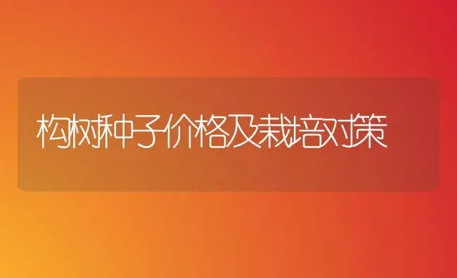 构树种子价格及栽培对策 | 家庭养花