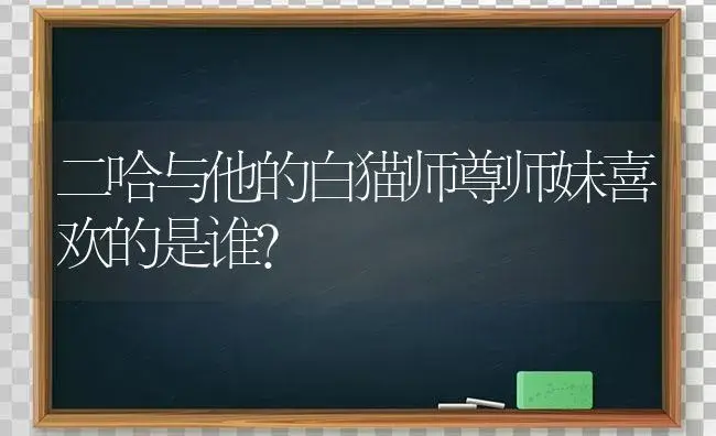 二哈与他的白猫师尊师妹喜欢的是谁？ | 绿植常识