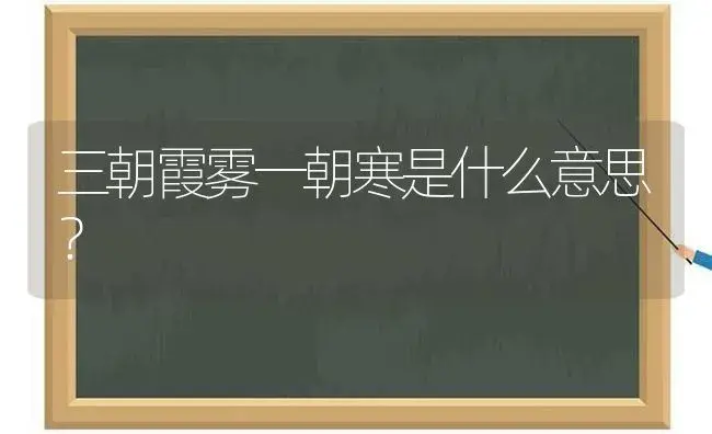 三朝霞雾一朝寒是什么意思？ | 多肉养殖