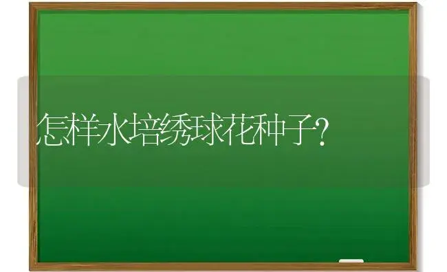 杜鹃花半开是什么原因？ | 绿植常识