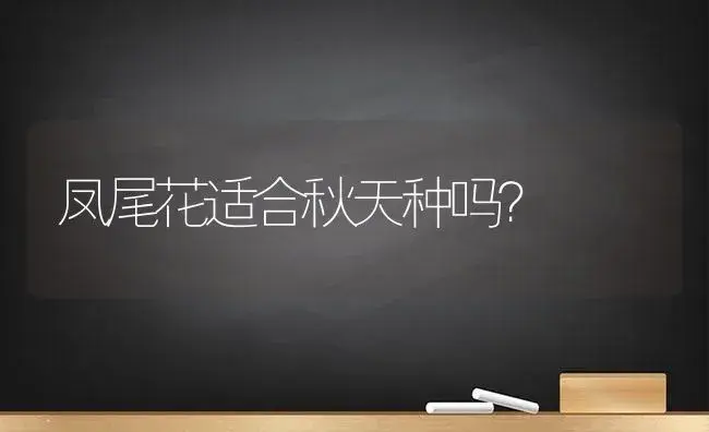 凤尾花适合秋天种吗？ | 多肉养殖