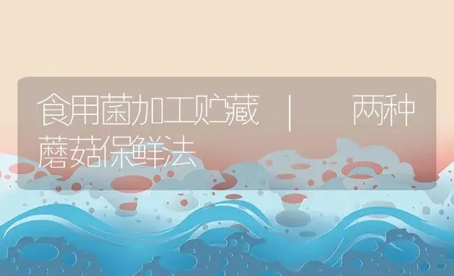 两种蘑菇保鲜法 | 菌菇种植