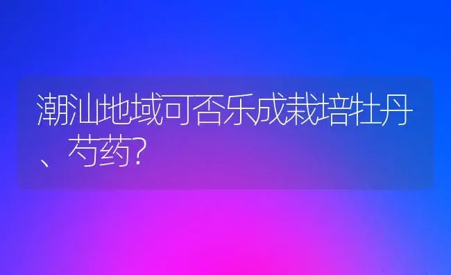 潮汕地域可否乐成栽培牡丹、芍药？ | 家庭养花