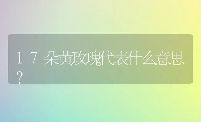 17朵黄玫瑰代表什么意思？ | 绿植常识