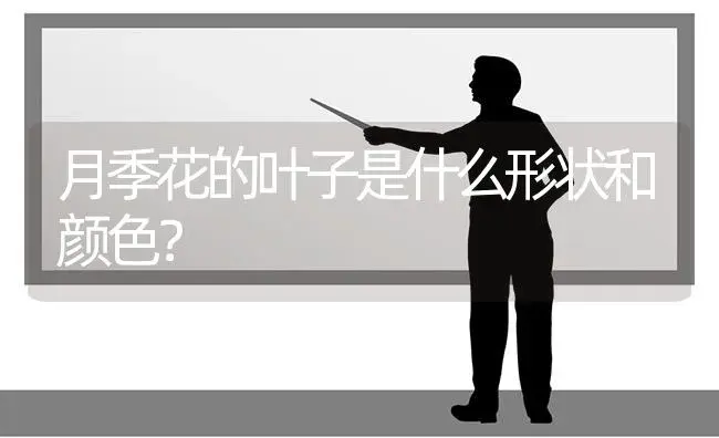 月季花的叶子是什么形状和颜色？ | 绿植常识