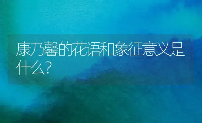 康乃馨的花语和象征意义是什么？ | 绿植常识