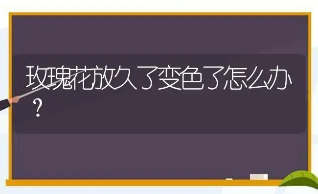 玫瑰花放久了变色了怎么办？ | 绿植常识