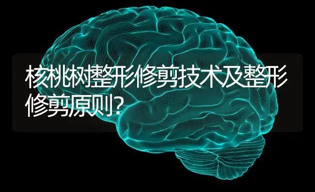 核桃树整形修剪技术及整形修剪原则？ | 果木种植