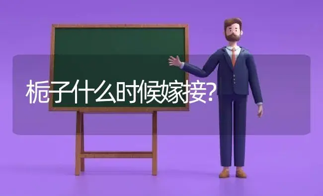 栀子什么时候嫁接？ | 绿植常识