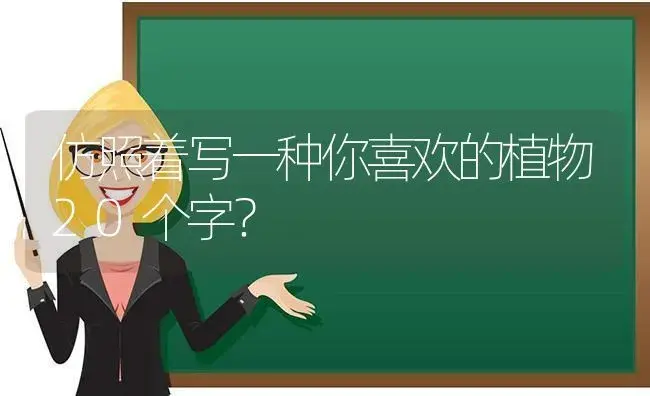 仿照着写一种你喜欢的植物20个字？ | 多肉养殖