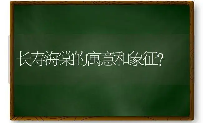 长寿海棠的寓意和象征？ | 绿植常识