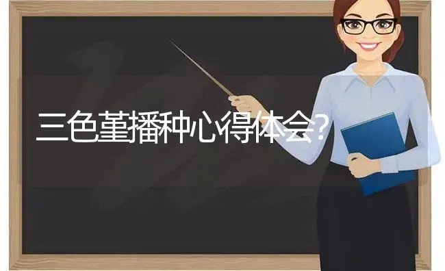 三色堇播种心得体会？ | 绿植常识