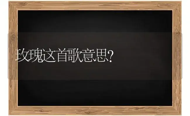 玫瑰这首歌意思？ | 绿植常识