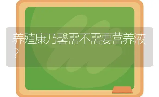 养殖康乃馨需不需要营养液？ | 绿植常识