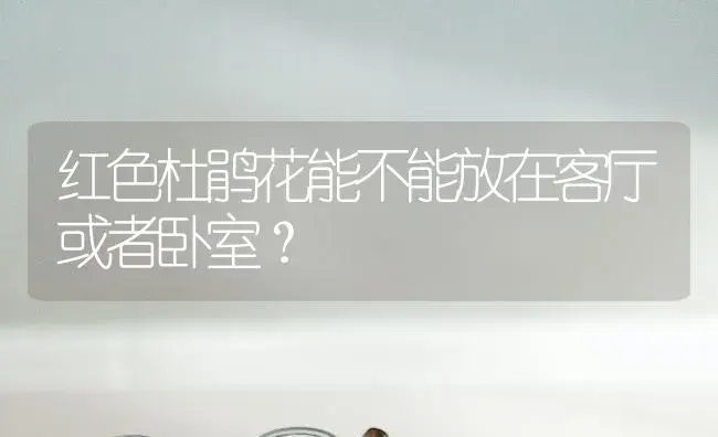 红色杜鹃花能不能放在客厅或者卧室？ | 绿植常识