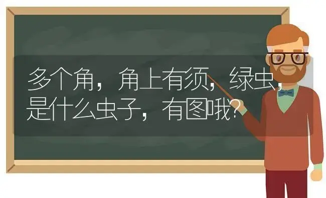 多个角，角上有须，绿虫，是什么虫子，有图哦？ | 绿植常识