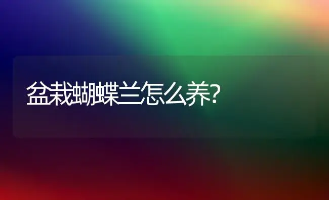 盆栽蝴蝶兰怎么养？ | 家庭养花