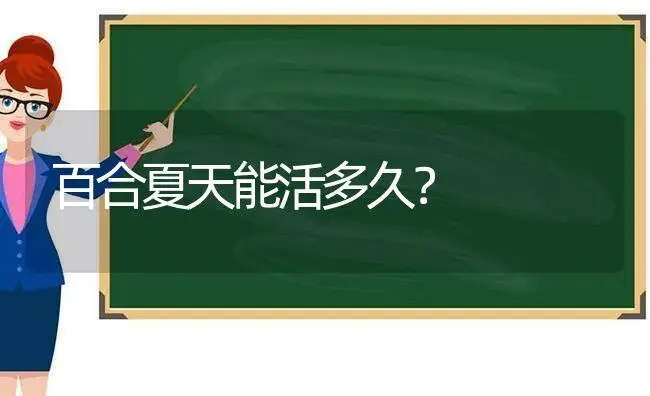 百合夏天能活多久？ | 绿植常识