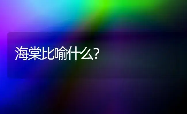 海棠比喻什么？ | 绿植常识