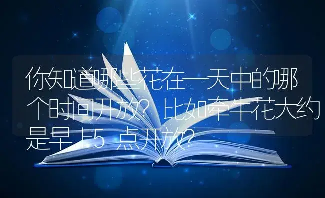 你知道哪些花在—天中的哪个时间开放？比如牵牛花大约是早上5点开放？ | 绿植常识