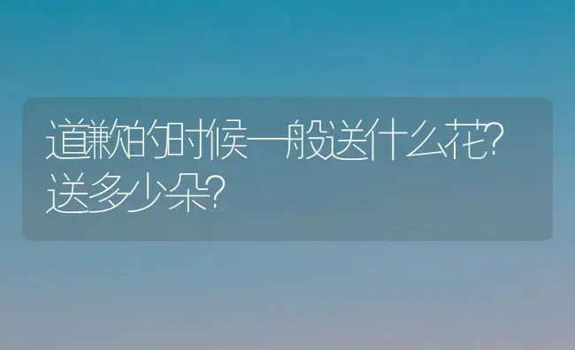 道歉的时候一般送什么花？送多少朵？ | 绿植常识