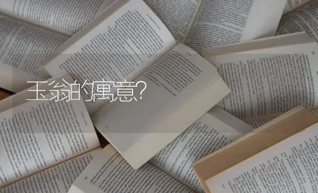 玉翁的寓意？ | 多肉养殖