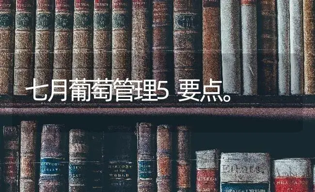 七月葡萄管理5要点。 | 果木种植