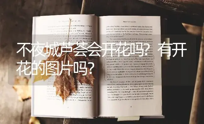 不夜城芦荟会开花吗?有开花的图片吗？ | 多肉养殖