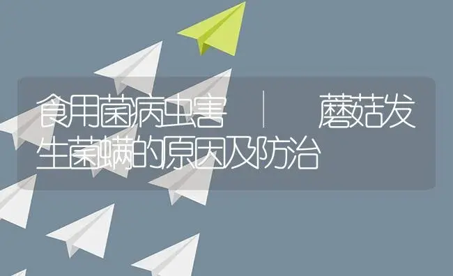 蘑菇发生菌螨的原因及防治 | 菌菇种植