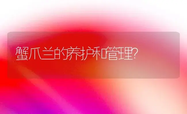 蟹爪兰的养护和管理？ | 多肉养殖