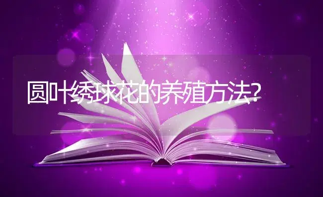 圆叶绣球花的养殖方法？ | 绿植常识