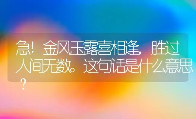 急!金风玉露喜相逢,胜过人间无数。这句话是什么意思？ | 多肉养殖