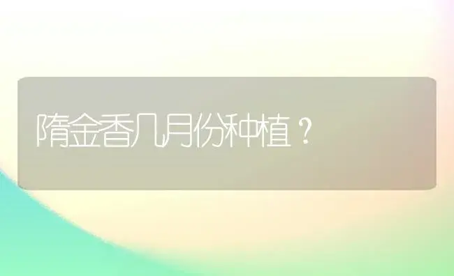 隋金香几月份种植？ | 绿植常识