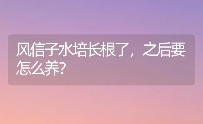 风信子水培长根了，之后要怎么养？ | 绿植常识