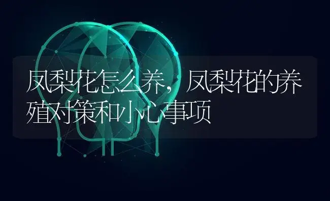 凤梨花怎么养，凤梨花的养殖对策和小心事项 | 果木种植