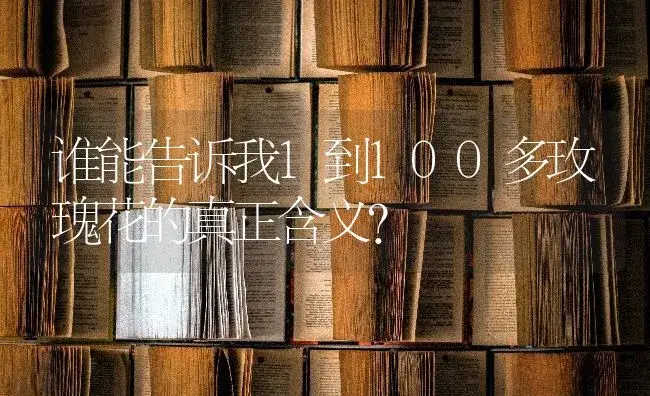 谁能告诉我1到100多玫瑰花的真正含义？ | 绿植常识