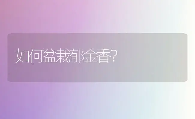 如何盆栽郁金香？ | 家庭养花