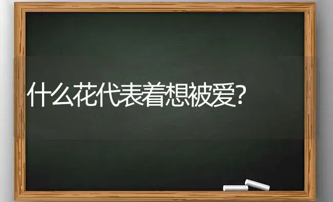 什么花代表着想被爱？ | 绿植常识