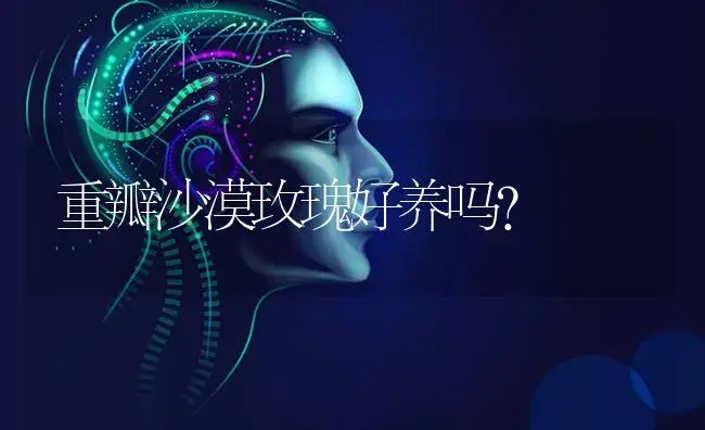 什么的丁月季填颜色？ | 绿植常识