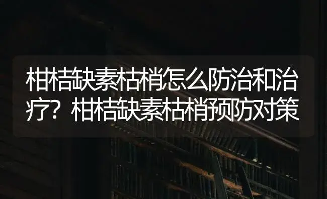 柑桔缺素枯梢怎么防治和治疗？柑桔缺素枯梢预防对策 | 果木种植