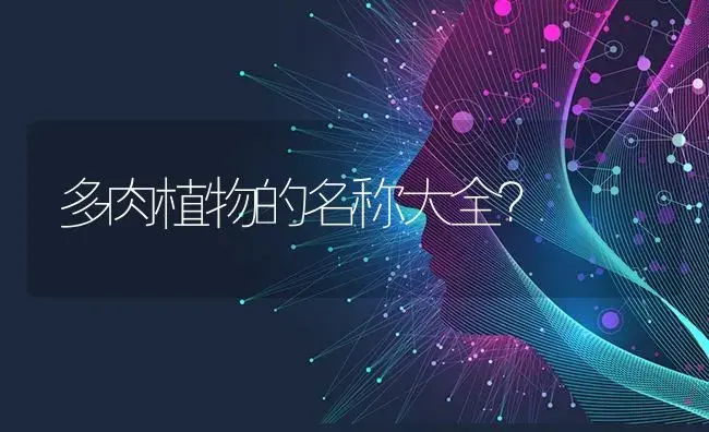 多肉植物的名称大全？ | 多肉养殖