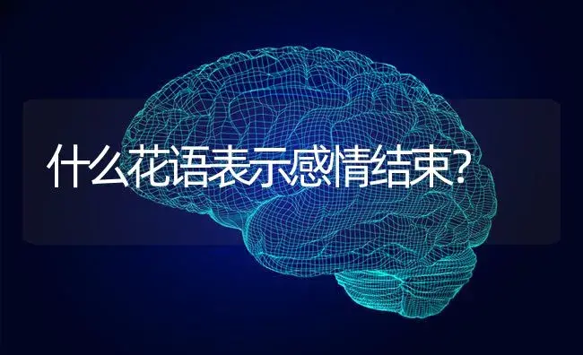 什么花语表示感情结束？ | 绿植常识