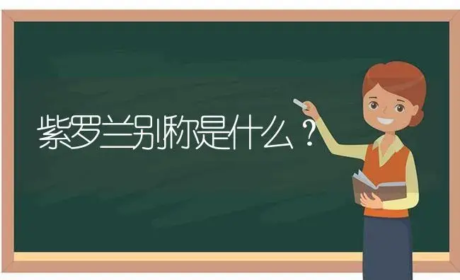 月季新皇后品种介绍？ | 绿植常识