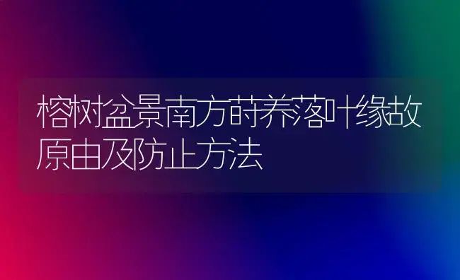 榕树盆景南方莳养落叶缘故原由及防止方法 | 家庭养花