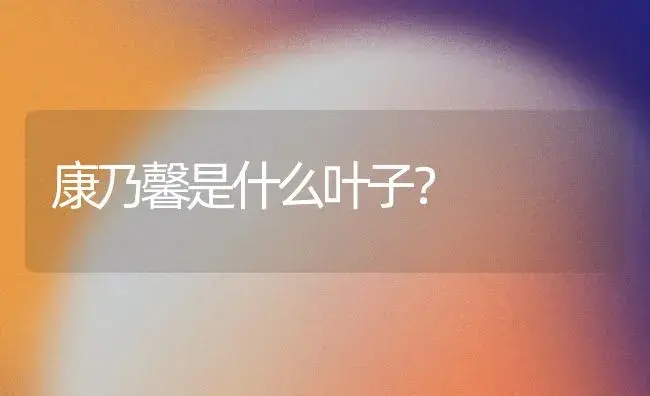 康乃馨是什么叶子？ | 绿植常识