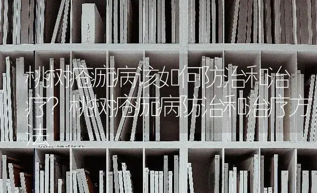 桃树疮痂病该如何防治和治疗？桃树疮痂病防治和治疗方法 | 果木种植