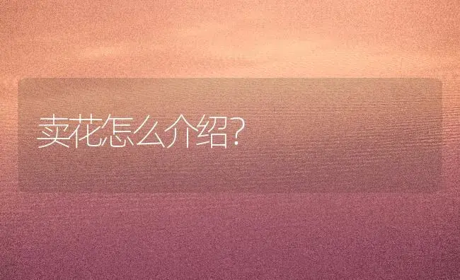 卖花怎么介绍？ | 多肉养殖