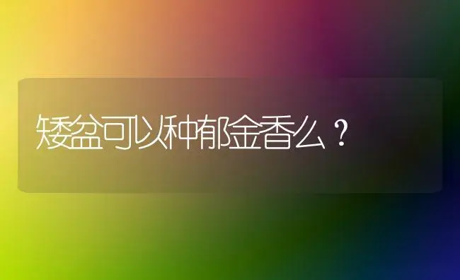 矮盆可以种郁金香么？ | 绿植常识